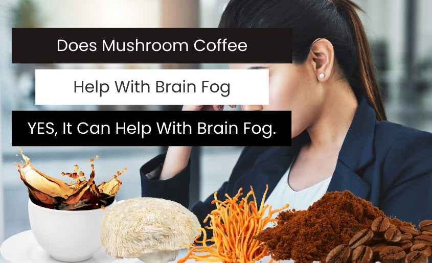 Does Mushroom Coffee Help with Brain Fog