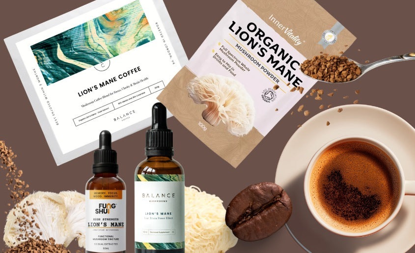 best Lion's Mane mushroom supplements for coffee lovers
