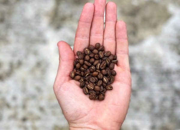 10 best coffee tips