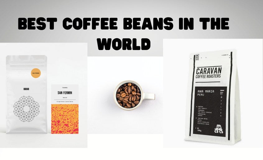 Best Coffee Beans In The World