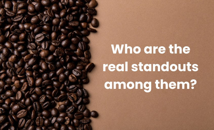 The Best Coffee Beans of 2024