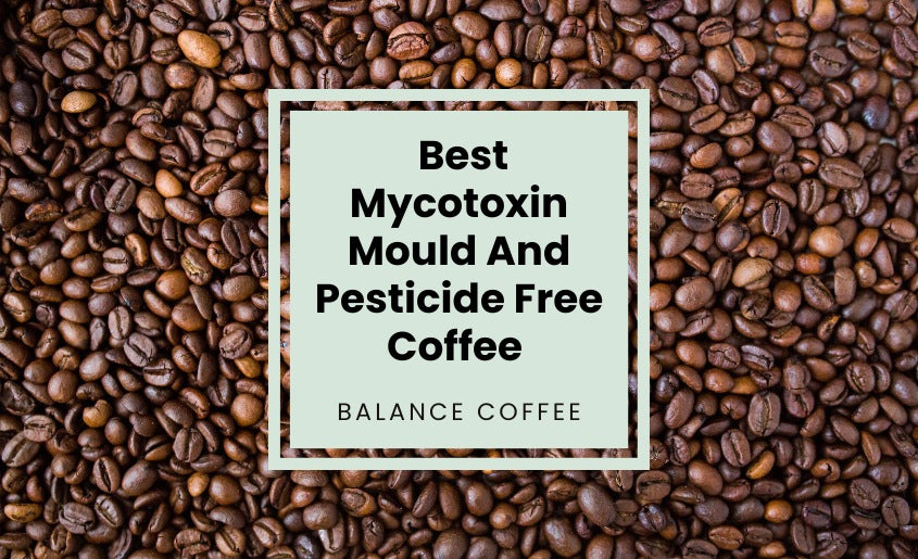 Best Mycotoxin Mold And Pesticide Free Coffee