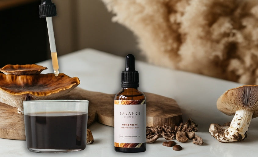 How to Use Mushroom Tinctures With Coffee (New Method)