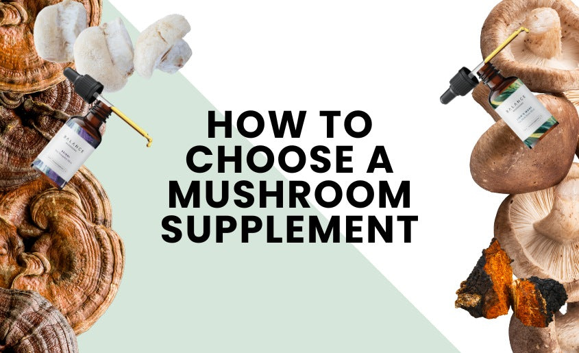 How To Choose A Mushroom Supplement