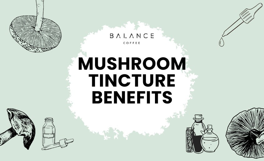 Mushroom Tincture Benefits
