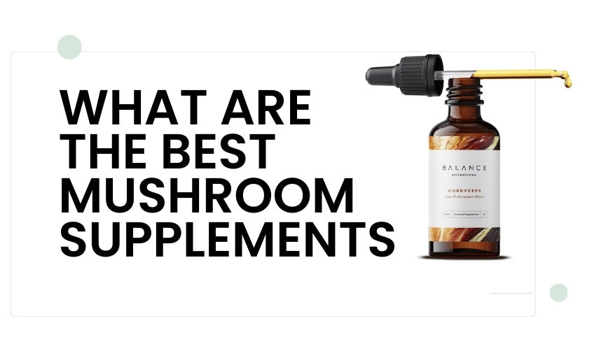 What are the best mushroom supplements