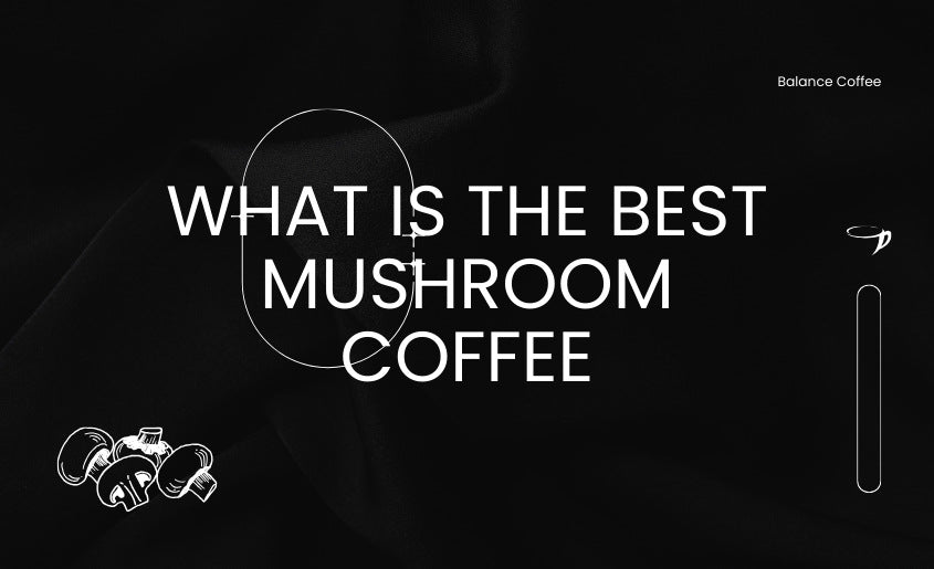 What is the best mushroom coffee