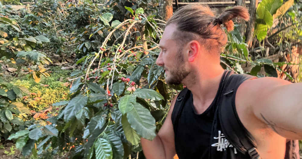 Learn How Speciality Coffee Is Graded (SCA System Explained)