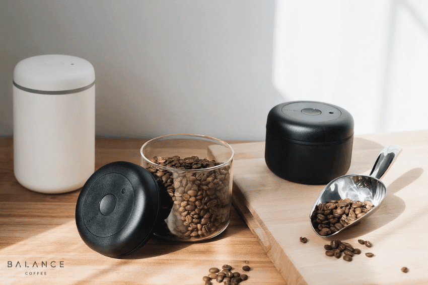 Best Container for Coffee Grounds Beans - OXO Pop Container Review