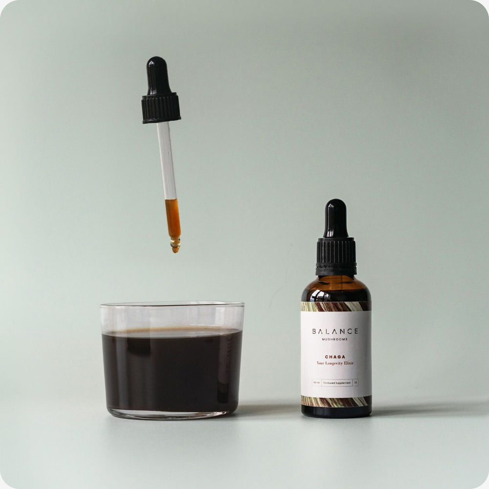 Chaga Mushroom Tincture