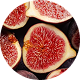 Fig