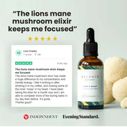 Lion's Mane Elixir