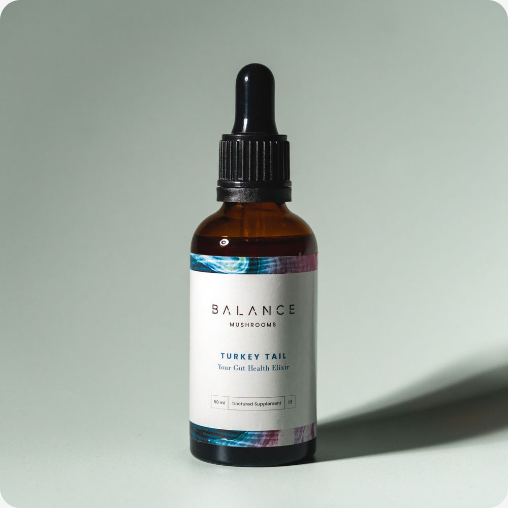 Turkey Tail Mushroom Drops