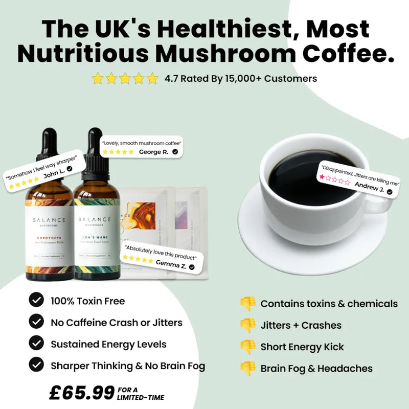 Mushroom Coffee Focus & Energy Bundle