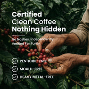 Stability Blend