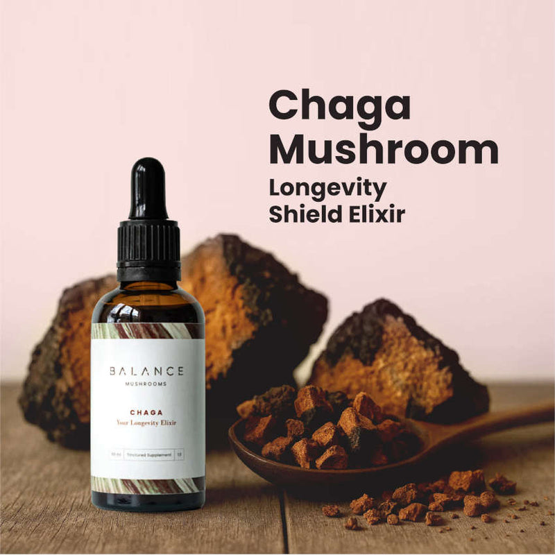 Chaga Elixir