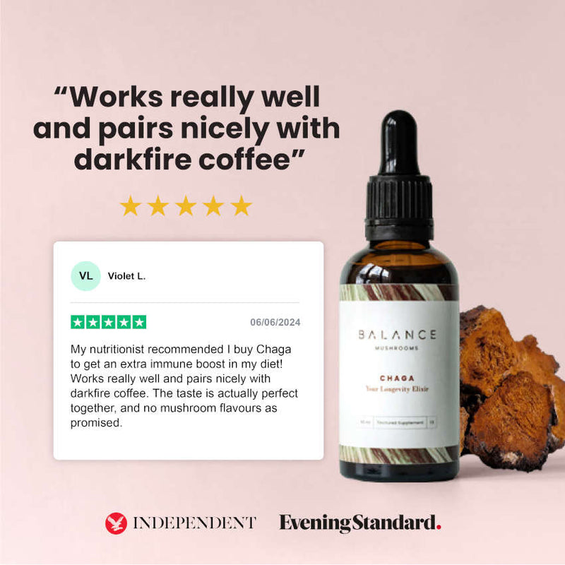 Chaga Elixir
