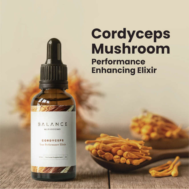 Cordyceps Elixir
