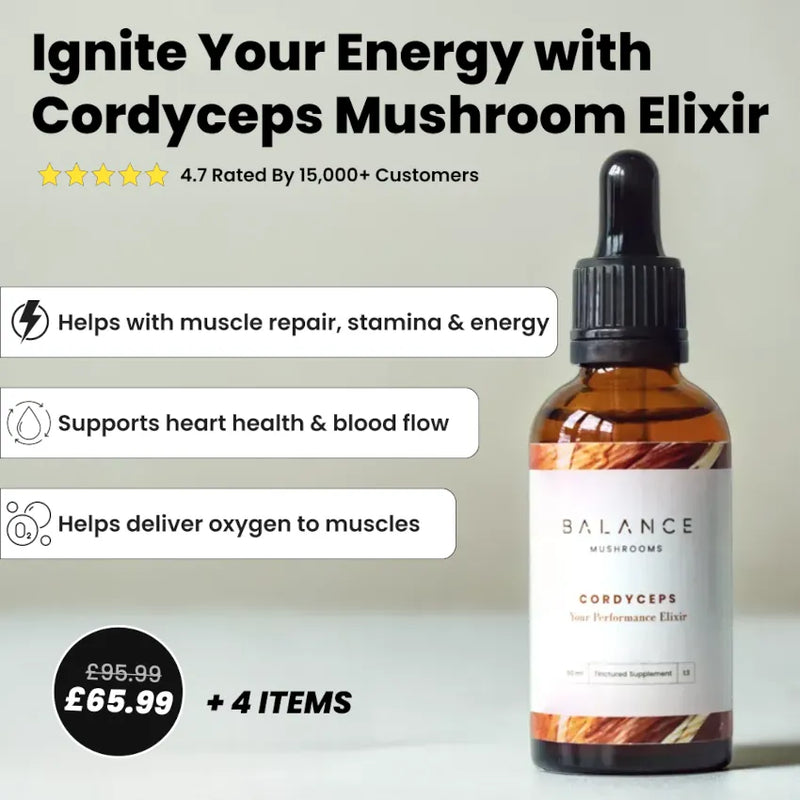 Mushroom Coffee Focus & Energy Bundle