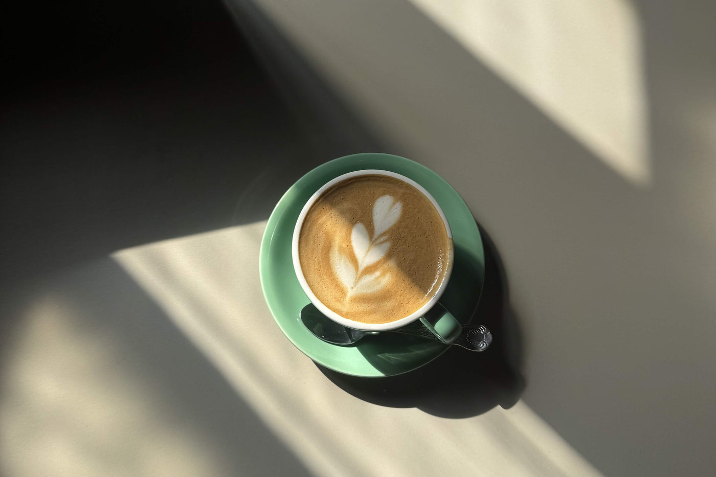 Latte art in a green cup, lit by window light