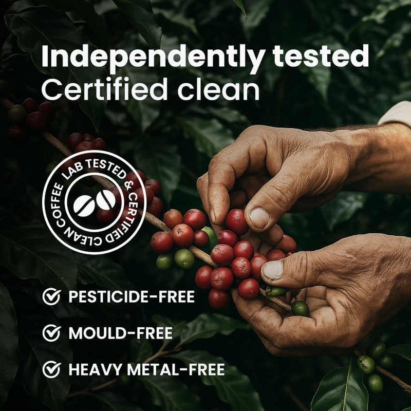 Level Up Blend