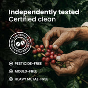 Level Up Blend
