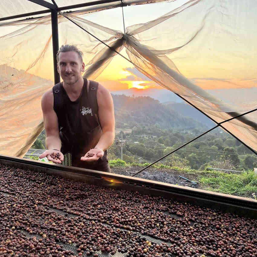 Coffee Farm Science Science - Balance Coffee: Buy Healthy Coffee Roasted In The UK