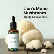 Lion's Mane Elixir