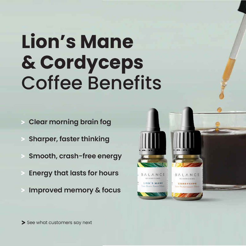 Ultimate Coffee Snobs Bundle - Every Sip Fuels Sharper Focus and A Calm Mind.