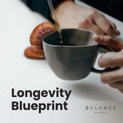 Longevity Blueprint (worth £99)
