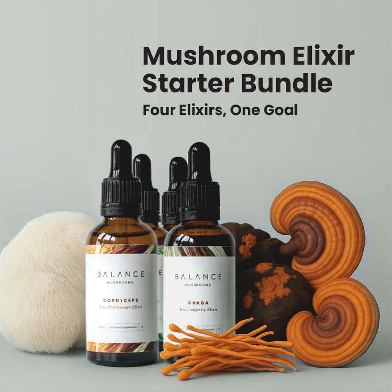 Mushroom Elixir Starter Bundle
