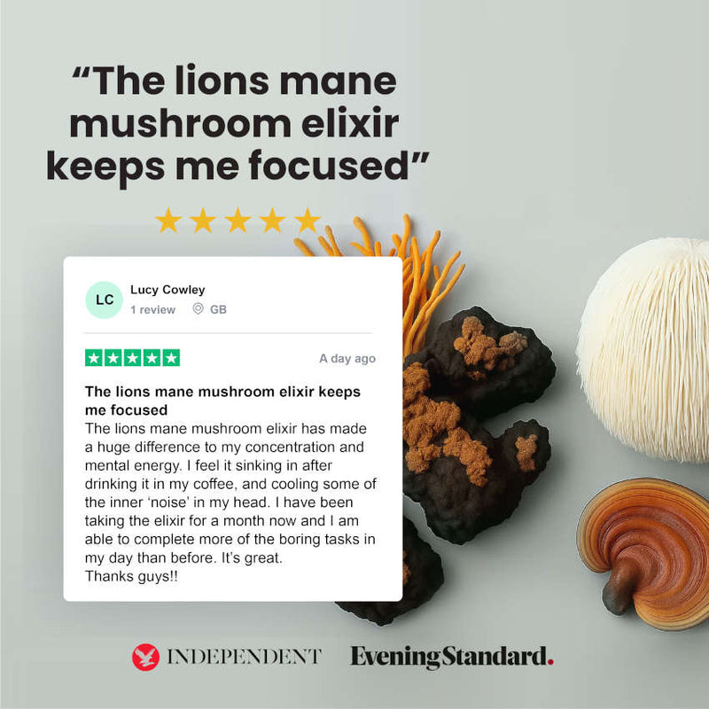 Mushroom Elixir Starter Bundle