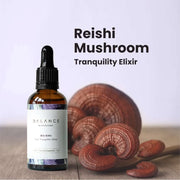 Reishi Elixir