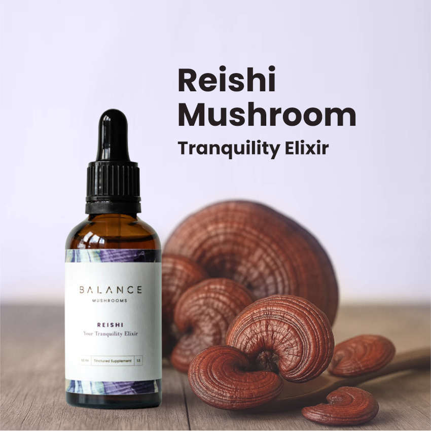 Reishi Elixir
