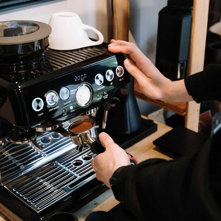 What Is Kopi Luwak? (Asian Civet Cat Poop Coffee Guide)